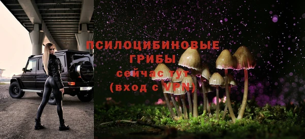 прущая мука Алзамай